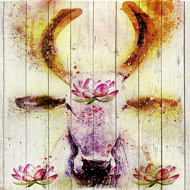 Gomukhasana | La postura de la Cabeza de Vaca 🐮 2 namaste 4119357 640