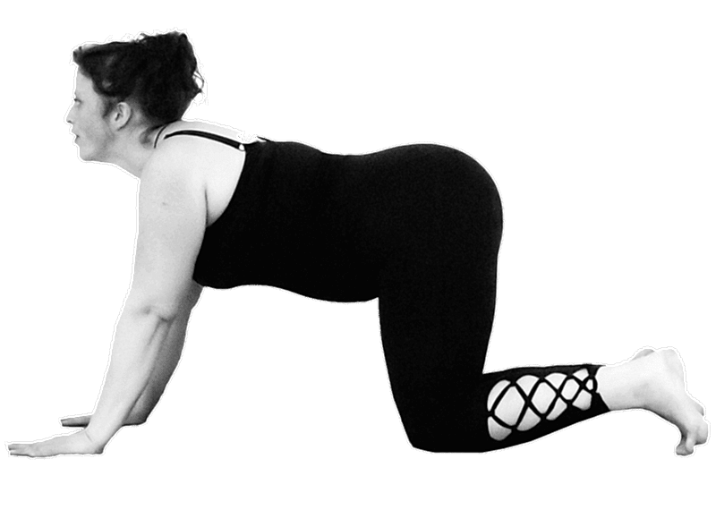 BIDALASANA | La postura del gato 2 Bidalasana