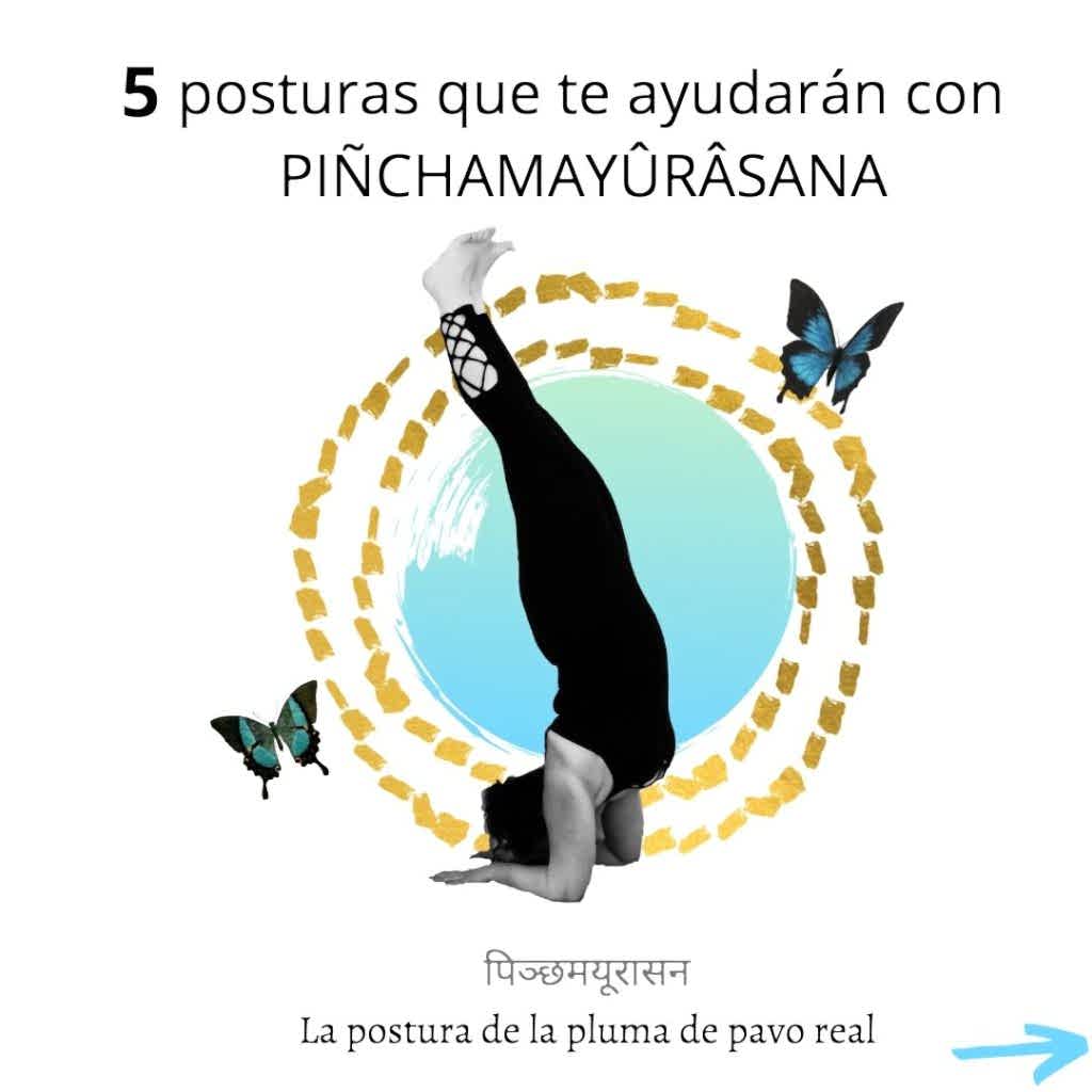 Shishulasana | La postura del Delfín 🐬 3 pincha mayurasana