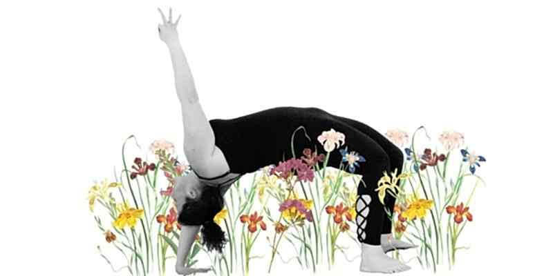 CAMATKARASANA | La postura maravillosa (o postura salvaje) 4 Chamatkarasana salvaje