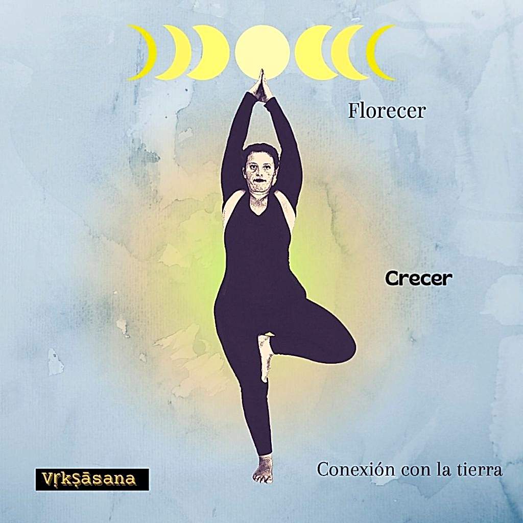 El simbolismo de las posturas de yoga 2 Arbol simboismo