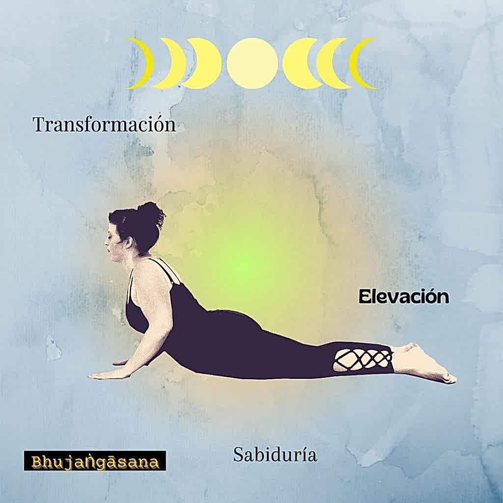 El simbolismo de las posturas de yoga 3 Bhujangasana Simbolismo