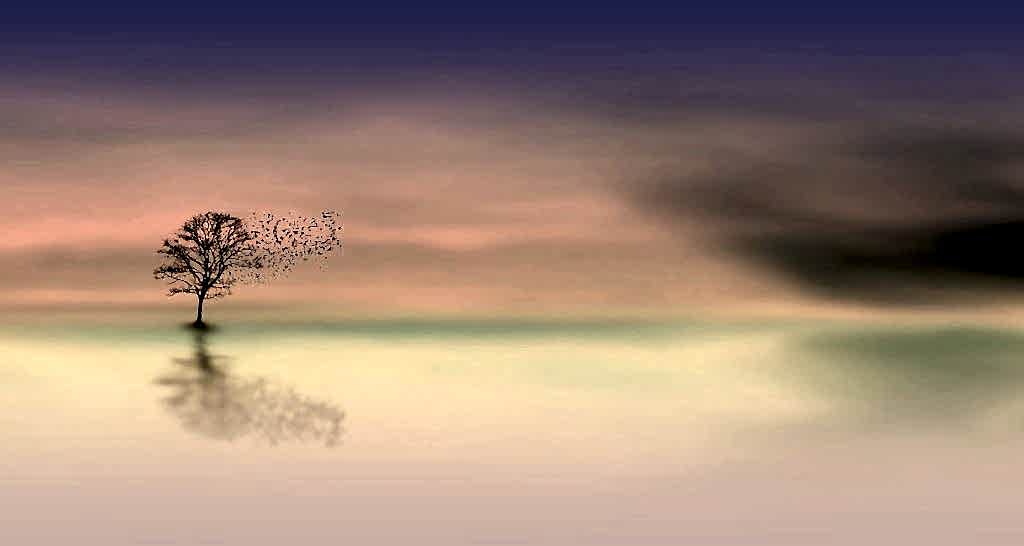 Antar Mouna: Meditación del Silencio Interior 2 Antar Mouna es la capacidad de encontrar silencio en tu mente.