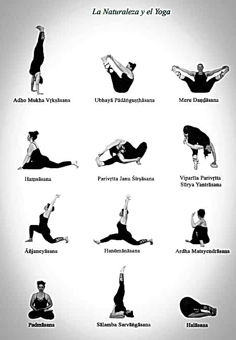 Mi 2º Libro de Yoga - LA NATURALEZA Y EL YOGA 3 Muestra primavera